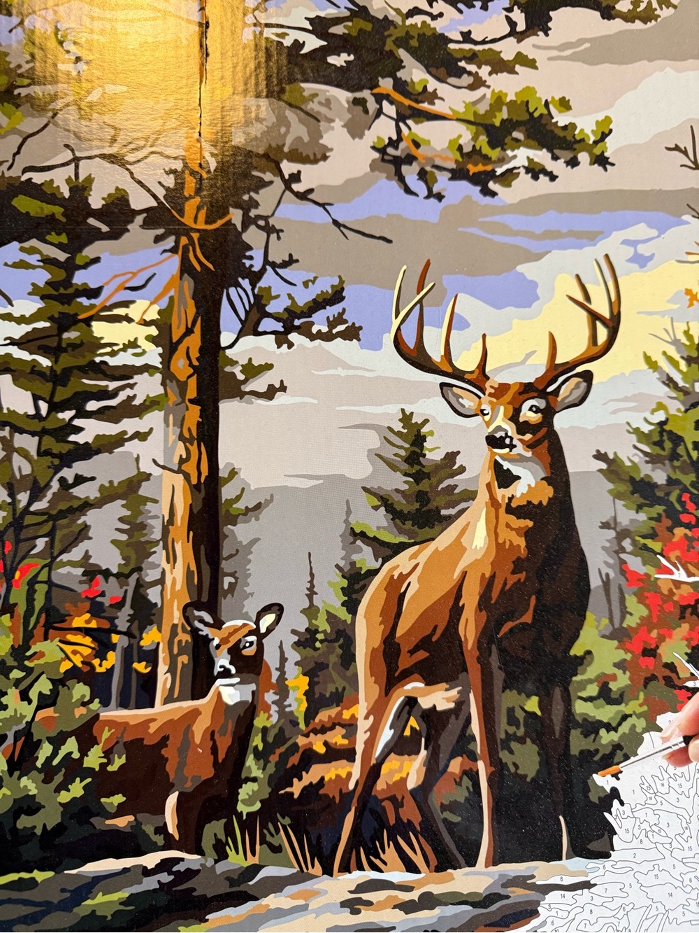 Plaid Paint By Numbers Wildlife Stag Deer Wall Art Painting DIY Relaxing